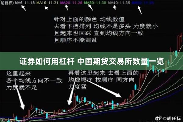 证券如何用杠杆 中国期货交易所数量一览