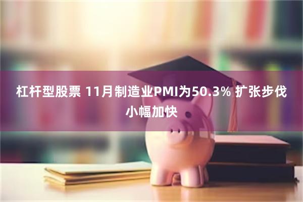 杠杆型股票 11月制造业PMI为50.3% 扩张步伐小幅加快