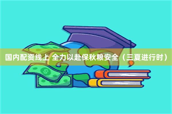 国内配资线上 全力以赴保秋粮安全（三夏进行时）